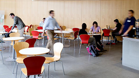interior shot of cafe with patrons at tables